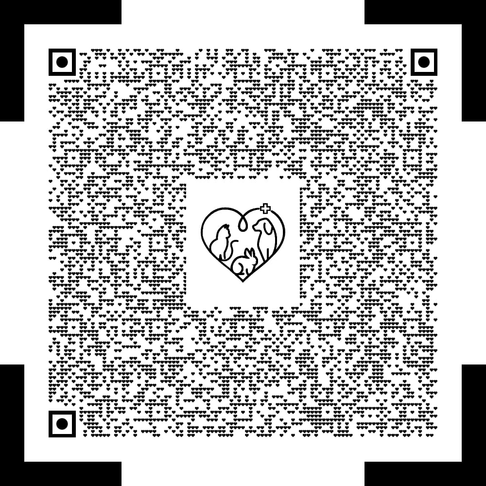 QR-Code zum Speichern des Kontakts